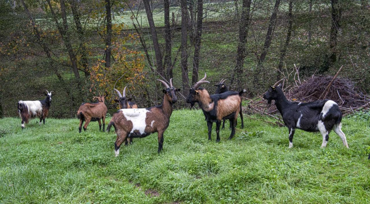 Agriturismo Il Bardellino Fivizzano Esterno foto