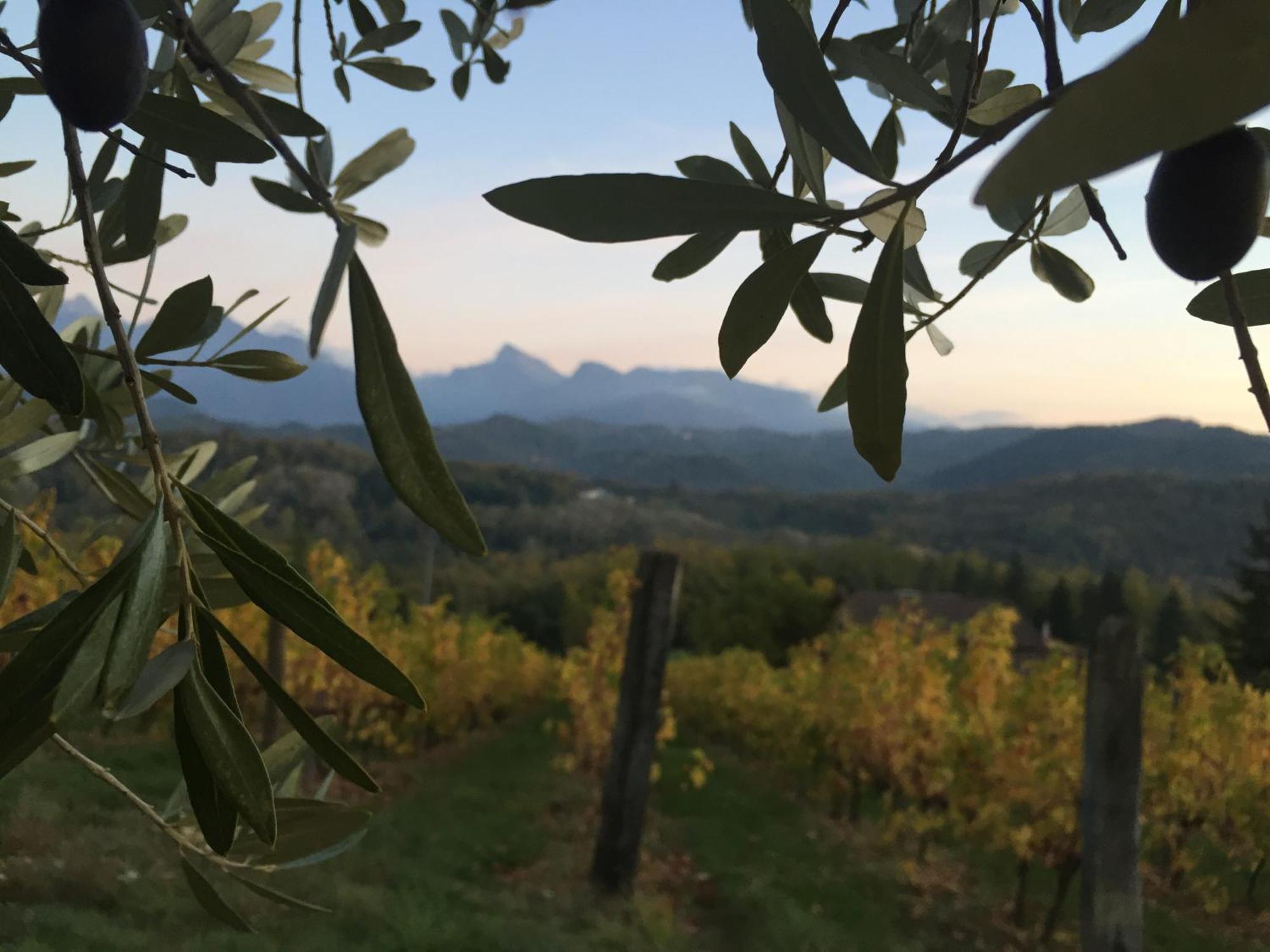 Agriturismo Il Bardellino Fivizzano Esterno foto